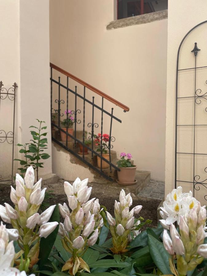 Historical Zaffir House - Market Square Левоча Екстер'єр фото
